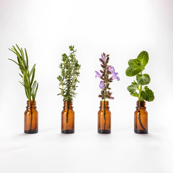 Fitoterapia – Medicina natural